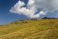 2018_08_04_Auvergne  (0019)